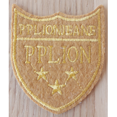 Аплікація для одягу. Pplion.