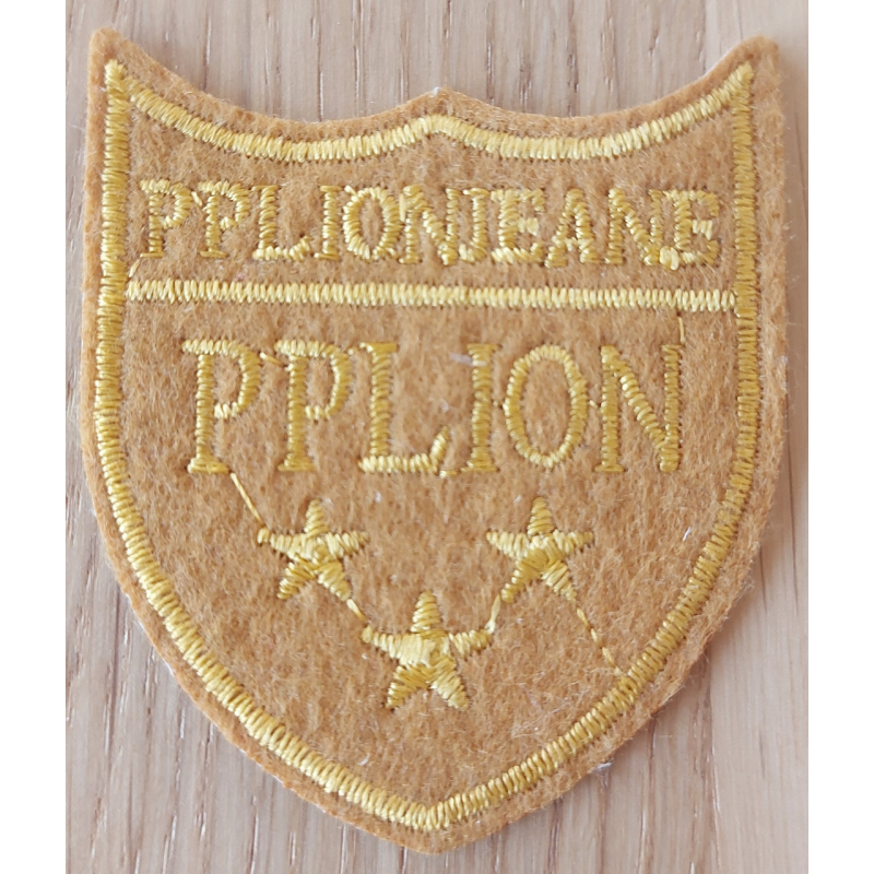 Аплікація для одягу. Pplion.