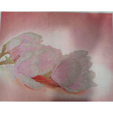 Схема для вишивання бісером. Чарівність магнолії 1