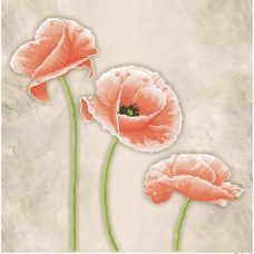 Схема для вишивання бісером. Персикові маки.