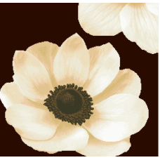 Схема для вишивання бісером. Загадкова анемона.