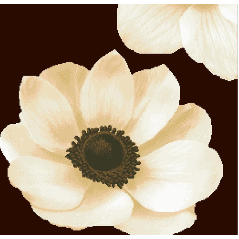 Схема для вишивання бісером. Загадкова анемона.