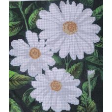 Схема для вишивання бісером. Ромашки.