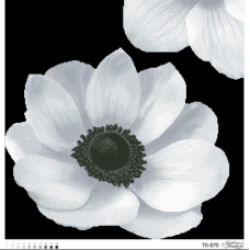 Схема для вишивання бісером. Загадкова анемона.