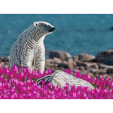 Схема для вишивання бісером. Білий ведмідь.