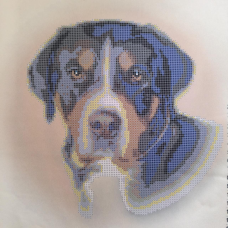 Схема для вишивання бісером. Ротвейлер.