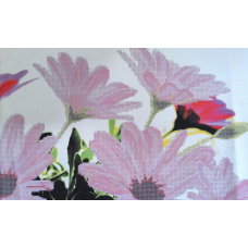 Схема для вишивання бісером. Рожеві ромашки.