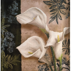 Схема для вишивання бісером. Калли