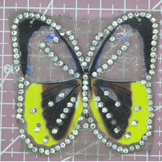Аплікація для одягу. Бабочка со стразами.