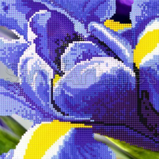 Схема для вишивання бісером. Певоцвіт