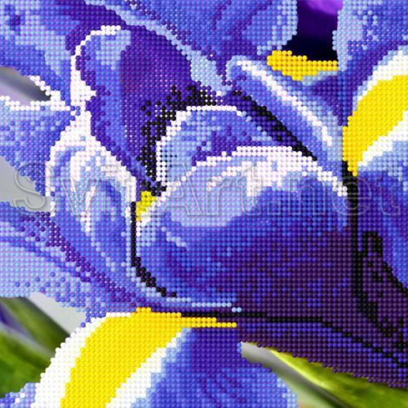 Схема для вишивання бісером. Певоцвіт Схема для вишивання бісером. Певоцвіт