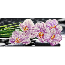 Схема для вишивання бісером. Певоцвіт