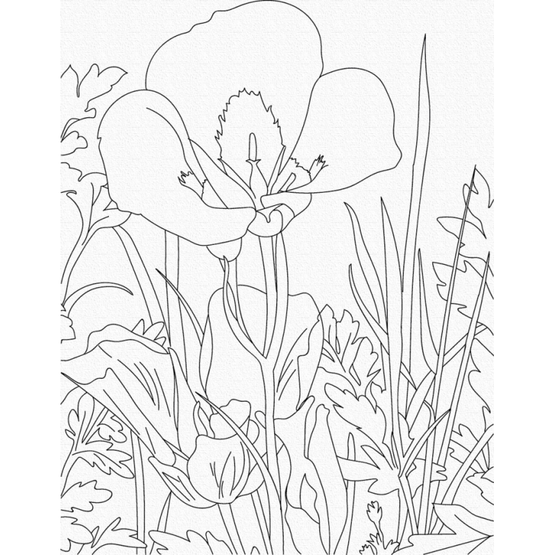 Набір для творчості, малювання картин 20Х30 см. Іриси